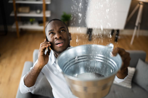 Best Sewage cleanup and water damage restoration  in Taylorvle, IL