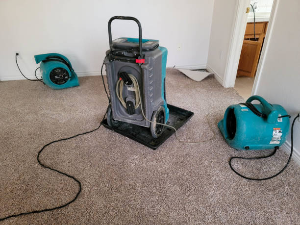 Best Water damage restoration services  in Taylorvle, IL