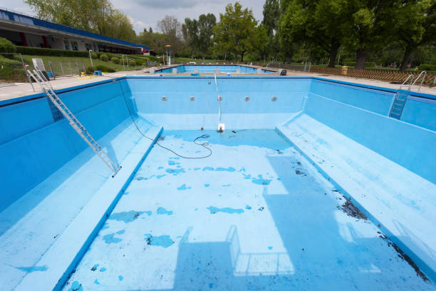 Best Mold removal after water damage  in Taylorvle, IL