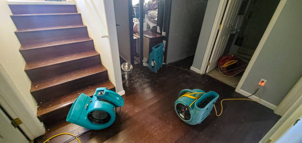 Best Water damage restoration near me  in Taylorvle, IL