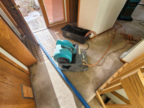 Best Water damage restoration near me  in Taylorvle, IL