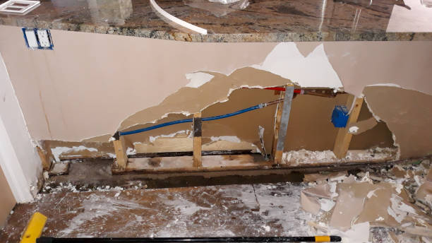 Best Residential water damage restoration  in Taylorvle, IL