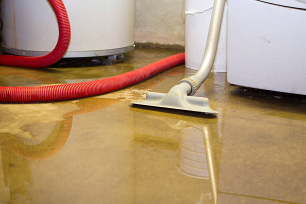 Trusted Taylorville, IL Water damage restoration Experts