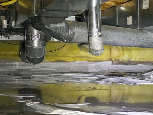 Best Emergency water damage restoration  in Taylorvle, IL