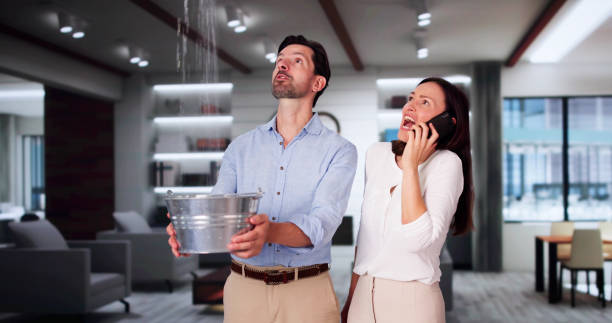 Best Water damage cleanup near me  in Taylorvle, IL