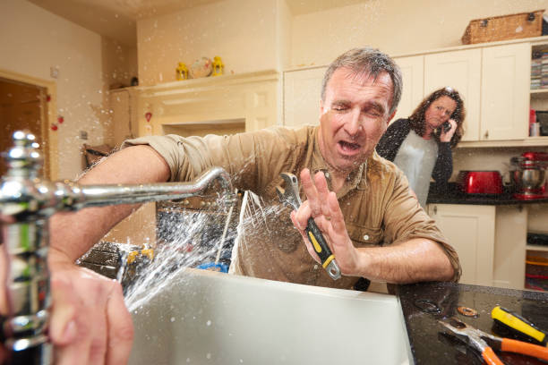 Best Carpet water damage restoration  in Taylorvle, IL